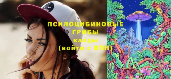 экстази Пестово