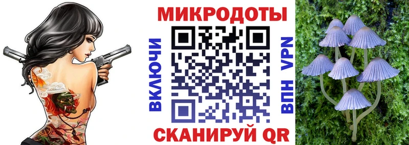 Купить  Зеленокумск  Галлюциногенные грибы GOLDEN TEACHER 